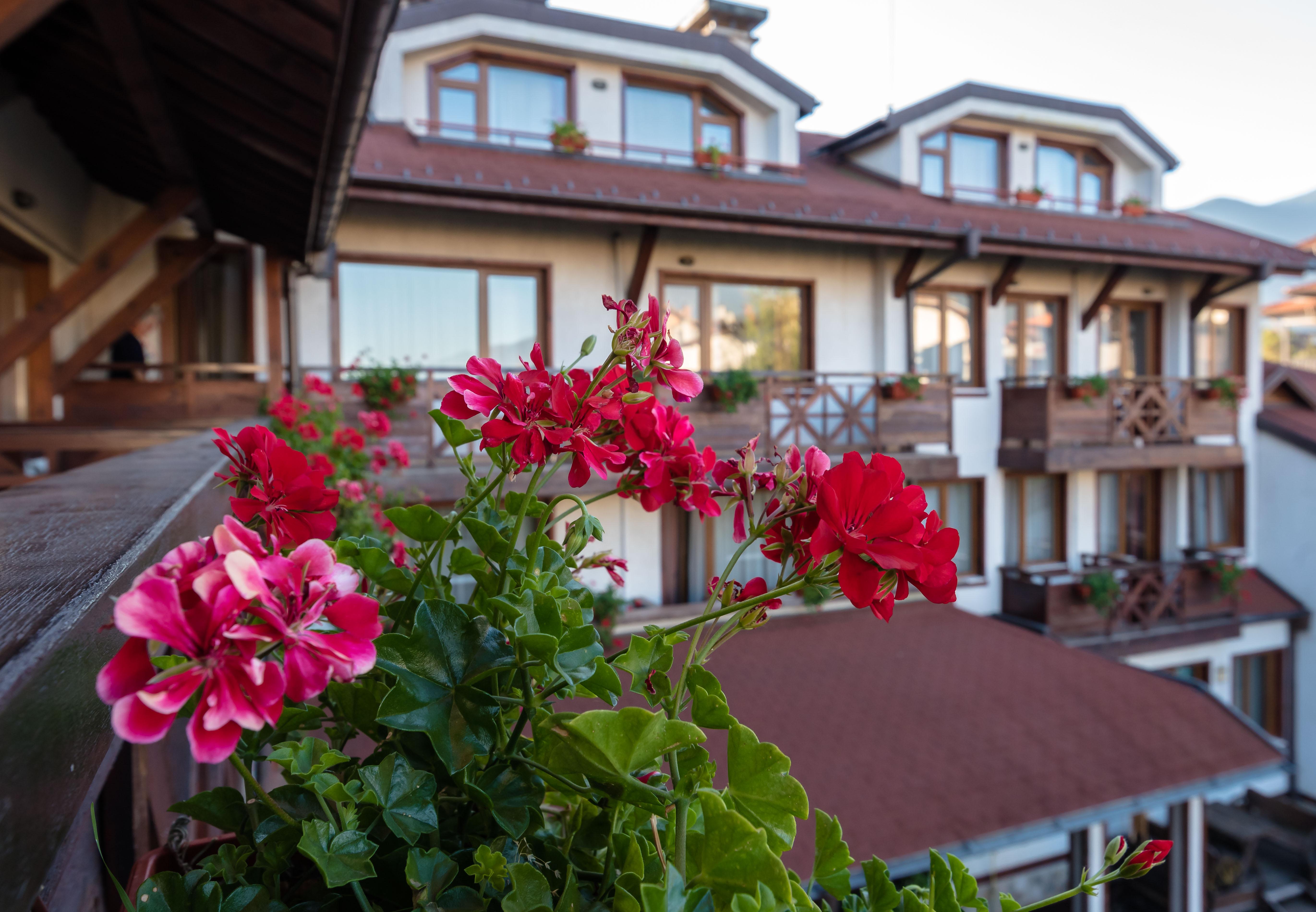 Evelina Palace Hotel Bansko Exterior photo