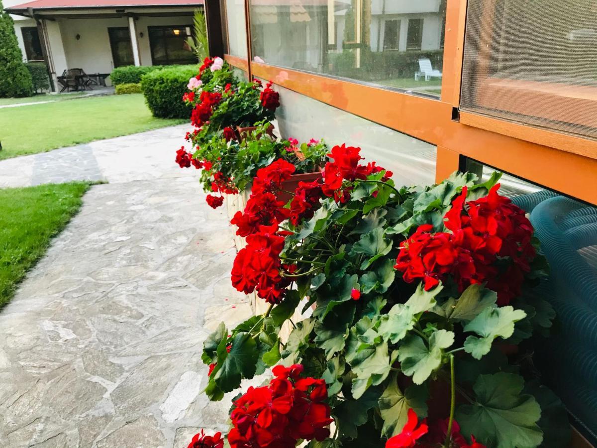 Evelina Palace Hotel Bansko Exterior photo